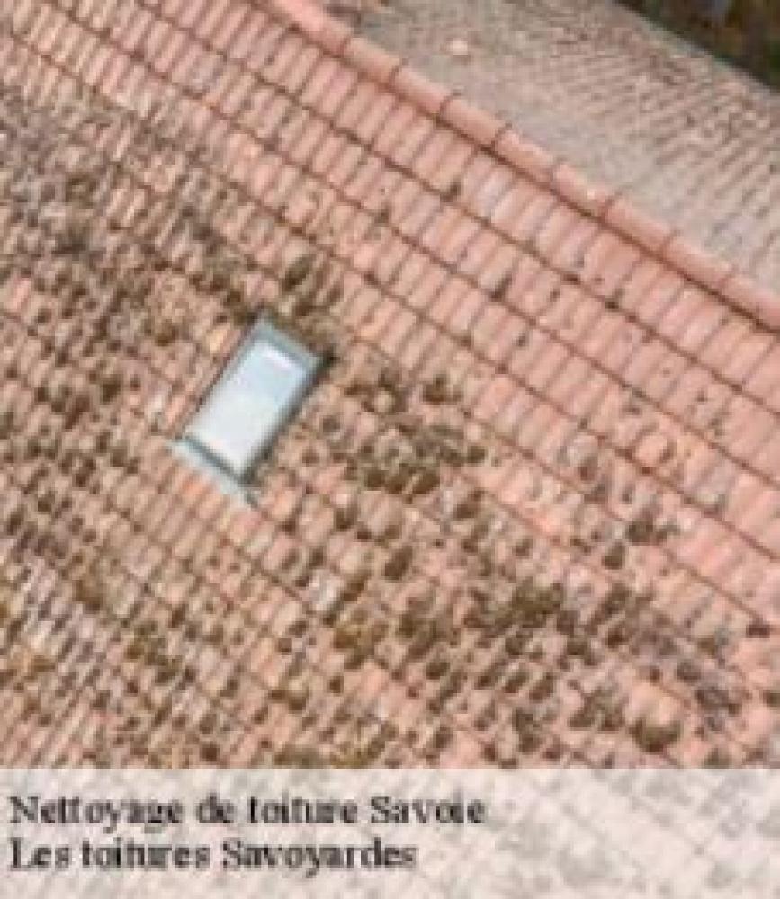 Les toitures Savoyardes : s’occupe de couvertures en Savoie